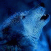 jace-bluewolf jace-bluewolf