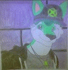 KowaAstori-Snowpaw KowaAstori-Snowpaw