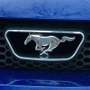 mustangfurs mustangfurs