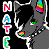 NateTheHusky NateTheHusky