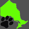 ontariofurs ontariofurs