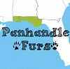 panhandlefurs panhandlefurs