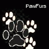 pawfurs pawfurs