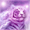 purpletigerlily purpletigerlily