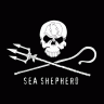 sea-sheperd-furs sea-sheperd-furs