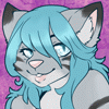 senorakitty senorakitty