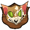 shins shins