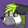 slimfox45 slimfox45