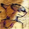 Vincent-Wullf Vincent-Wullf
