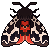 butterfly2ki butterfly2ki