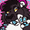 camidreamwolf camidreamwolf