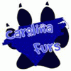 carolinafurs carolinafurs