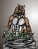 cat1925 cat1925