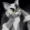 coopertom coopertom