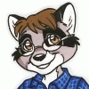 dan_raccoon dan_raccoon