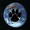 earthlingfurs earthlingfurs