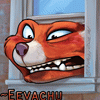 eevachu eevachu
