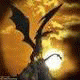 Feral-Dragons-of-FA Feral-Dragons-of-FA