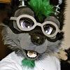 foxosexual foxosexual