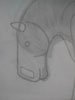 GiantDraftHorse GiantDraftHorse