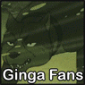 gingafans gingafans