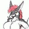 Haroku_longtail Haroku_longtail