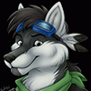 hunterdarkwolf hunterdarkwolf