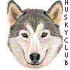 huskyclub-fa huskyclub-fa
