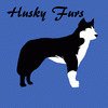 huskyfurs huskyfurs