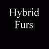 hybridfurs hybridfurs