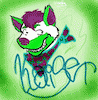 kaiser-husky kaiser-husky