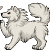 kajte kajte