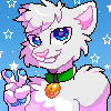 kittybean kittybean