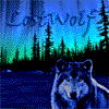 LostWolf123 LostWolf123