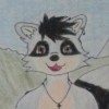 luchianoraccoon luchianoraccoon