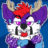mattfolfsky mattfolfsky