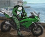 motorcyclefurs motorcyclefurs