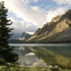 nature-lovers nature-lovers