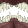oral-fixation-furs oral-fixation-furs