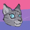 patchescantpurr patchescantpurr