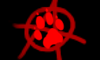 Punkfurs Punkfurs