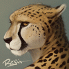 rajii rajii