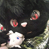 rexxiecat rexxiecat