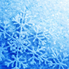 snowlovers snowlovers