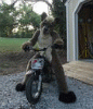 stuntcoyote stuntcoyote