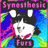 synesthesicfurs synesthesicfurs