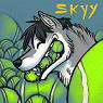 tennisballlover tennisballlover