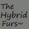 the-hybrid-furs the-hybrid-furs