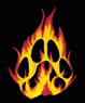 thefirepawpack thefirepawpack