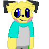 ThePichuArtist ThePichuArtist